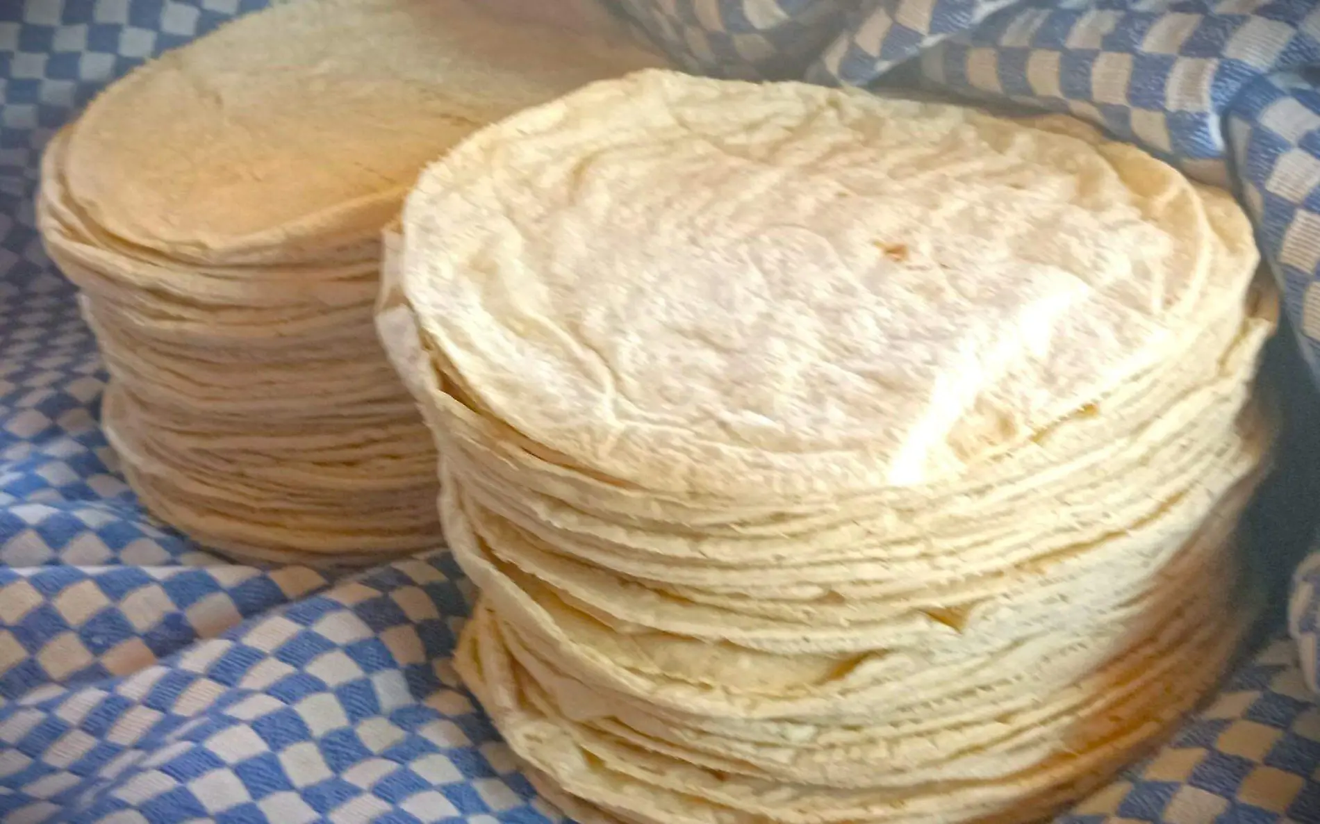 tortillas-angelina (2)